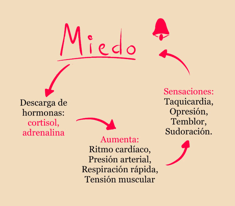 dibujo del miedo y las pabaras que indican como da ataque ansiedad con hormonas de cortisol y adrenalina